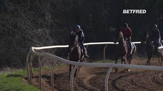 Cheltenham Festival Stable Tour Andrew Gemmell amp Paisley Park [upl. by Bondon153]