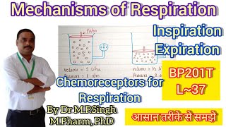 Mechanisms of Respiration  Respiratory System  Human Anatomy amp PhysiologyII  BP201T  L37 [upl. by Notnirt]