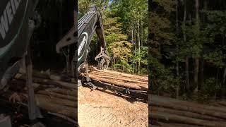 Loading Porkchop 92024 gopro truck logging loading tree maryland [upl. by Stoddart]