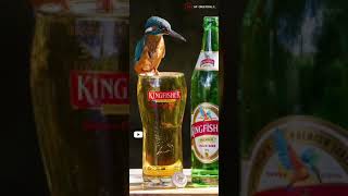 Beer Lovers Special Status  Beer WhatsApp Status  Beer Trending Status Teri khushbusong status [upl. by Annahsor]