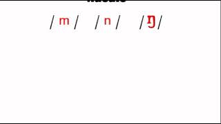 nasals 2 phonetics course [upl. by Weinhardt]