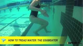 How to Tread Water in Swimming The Eggbeater [upl. by Nnhoj]