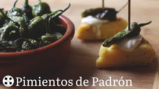 Pimientos de Padrón  Spanishstyle blistered Padrón peppers  The Soup Story [upl. by Shull801]