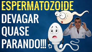 ASTENOZOOSPERMIA como melhorar a motilidade dos espermatozoides [upl. by Misti]