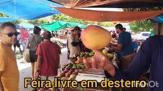 feira livre e comércio em desterro Paraíba [upl. by Moth]