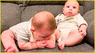 BEST Video Of Cute and Funny Twin Babies 3 Twins Baby Videos [upl. by Ogirdor]