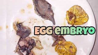 Cracking egg embyo balut egg asmr [upl. by Htebesile]