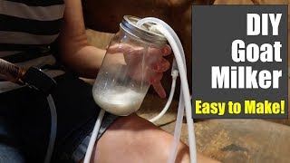 DIY Mason Jar Goat Milker Under 30 [upl. by Nata831]