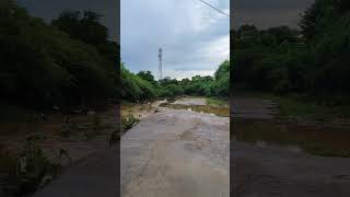 Water high flow heavy rains solo campingsolo viralvideo shorts [upl. by Evetta]