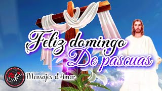 Feliz domingo de pascua 2024 🌷Lindo mensaje de Domingo de Resurrección 🌷Felices Pascuas para ti [upl. by Neidhardt]