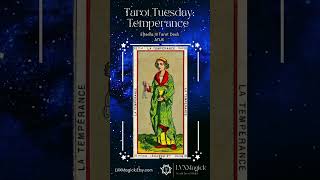 Tarot Tuesday Temperance Art [upl. by Ritz]