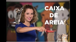 5 passos simples para limpar a caixa de areia do gato [upl. by Ylesara134]