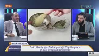 Defne Yaprağının İnanılmaz Faydaları  Salih Memişoglu [upl. by Knipe]