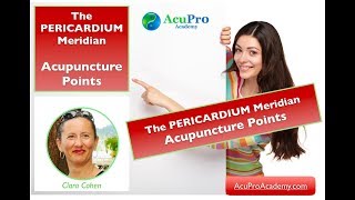 Pericardium Acupuncture Points [upl. by Ttenaej]