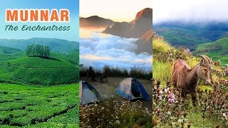 Munnar the Enchantress  Winter Destination [upl. by Anes]