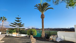 Hotel Aequora Suites  Lanzarote [upl. by Siladnerb]