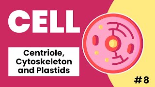 Centriole Cytoskeleton and Plastids Made Easy [upl. by Leirda]