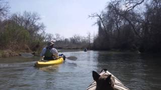 20150214 Kayak San Marcos River Staples Dam to Fentress TX [upl. by Trixy]