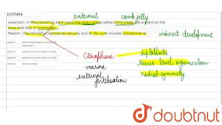 Assertion  In Pleurobrachia eight comblike ciliary plates called cmob plates are present [upl. by Lashonde90]