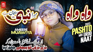 New latest Pashto Naat 2023  Wah Wah Sumra Khaista Nabi Sultan Dy  By Ameer Muawiya امیر معاویہ [upl. by Aical]