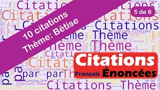 Citations  Bêtise 5 de 6 [upl. by Samaria]