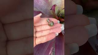 Unakite Mini mushroom for grounding🍄 So cute soul crystals spirituality [upl. by Acimak]