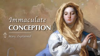 3 Immaculate Conception  Mary Explained [upl. by Yelac]