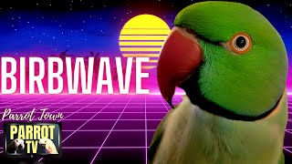 Birbwave  Synthwave 80s Inspired Music for Birds  Parrot TV for Your Bird Room🎹 [upl. by Yur]