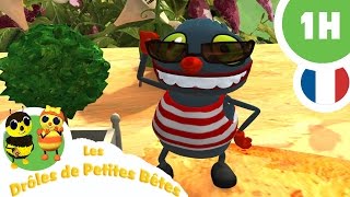 DRÔLE DE PETITES BÊTES  1 Heure   Compilation 01 [upl. by Trovillion]