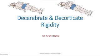 Decrebrate amp Decorticate Rigidity [upl. by Cacie]