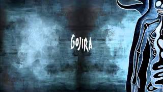 Gojira  Vacuity [upl. by Gentille]