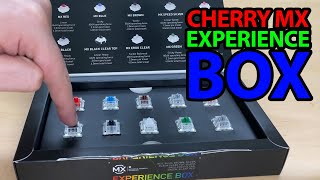 Unboxing amp Testing Cherry MX Experience Box – Which Switch Is Right for You [upl. by Ecenahs982]