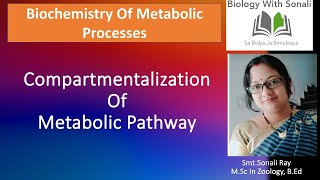 Compartmentalization Of Metabolic Pathway  BSc 4th semester  Biochemistry biologywithsonali [upl. by Rowen]