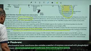 माइटोकॉन्ड्रिया और झिल्ली amp Mitochondria amp Membranes CSIR NET Lifescience by Harcharan Sir [upl. by Candyce154]