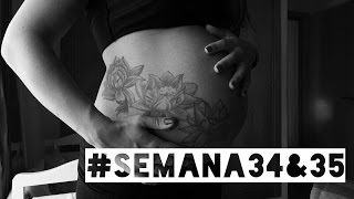 ❤️ SEMANA 35 DE EMBARAZO🤰 ❤️ ⏩ EMBARAZO SEMANA A SEMANA ⏩ Desarrollo y Evolución del Bebé 👶🏻 [upl. by Emery]