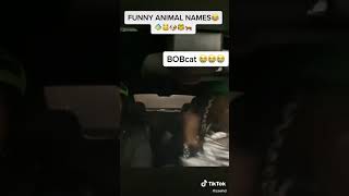 Funny animal names  Tik Tok by Zaehd [upl. by Ical]