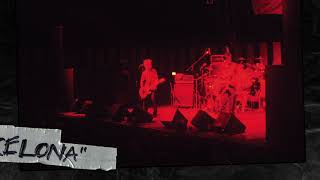 Green Day  Chump Live at Garatge Club Barcelona 1994 Visualizer [upl. by Sowell]