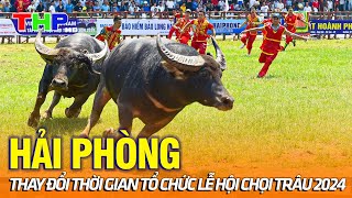 Hải Phòng thay đổi thời gian tổ chức Lễ hội chọi trâu 2024  Điểm hẹn du lịch [upl. by Yona733]