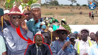 Réaction de Serigne Habib Sy Dabakh  Reboisement avec PASTEF Tivaouane dans son Champ [upl. by Naleek]