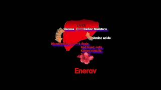 Amino Acids amp Energy output Metabolism Made Easy [upl. by Teresa]