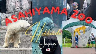 Asahiyama zoo  Hokkaido  Japan 🇯🇵  Travel [upl. by Arikahc]