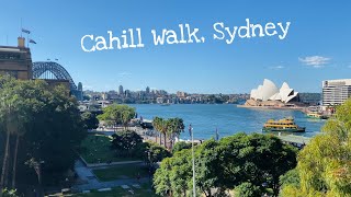 🇦🇺 Sydney Cahill Walk above Circular Quay  Wonderful view of Sydney Opera House and Harbour Bridge [upl. by Lebazi38]