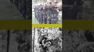 Paramilitares y Guerrilleros ¿Qué los diferencia realmente [upl. by Perkins742]