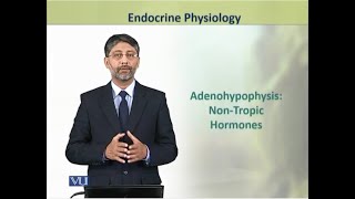 Adenohypophysis NonTropic Hormones  Physiology Theory  ZOO519TTopic049 [upl. by Nizam]