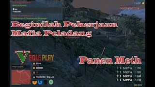 Panen Meth GTA V Roleplay  Tree Brothers beraksi [upl. by Nad620]