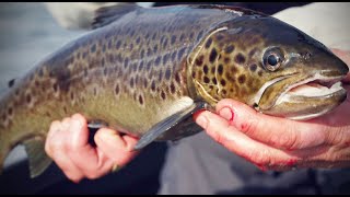 Truite en lac au poissonnageur  les clefs de la réussite – LETS GO FISHING [upl. by Eirellav]