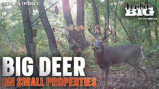 Big Deer Small Properties  Hunt em Big [upl. by Annirak]