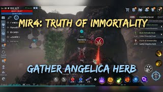 MIR4 Truth of Immortality  Gather Angelica Herbs locations  Unlocks Arcanean Remedy [upl. by Ahtenek983]