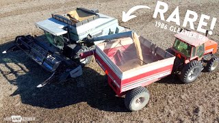 RARE 1986 Gleaner R6 comes to the farm  Southern Iowa Harvest 2022 [upl. by Dey]