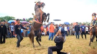 SILAT MELAWAN KUDA DALAM KESENIAN KUDA RONGGENG [upl. by Cordova]